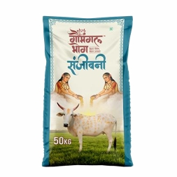 Sanjivini