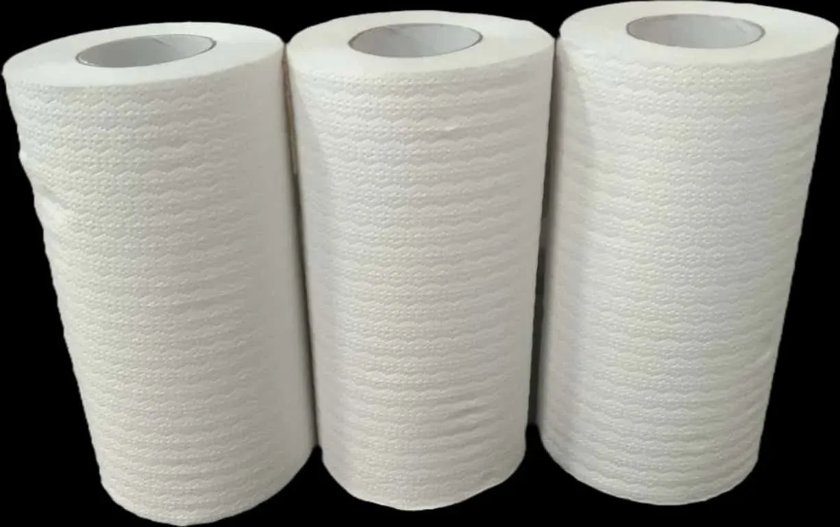 Premium Kitchen Paper Roll