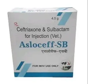 Asloceff-SB Injection