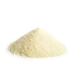 Fungal Diastase Enzyme Powder